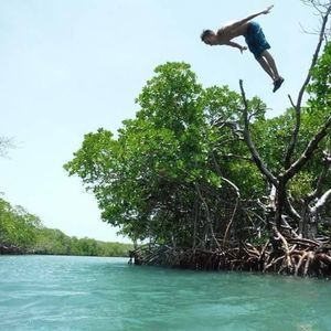 Meet your Posher, Luis